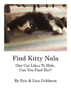 find-the-kitty-book-cover